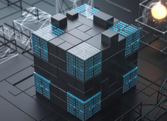 Database Management Services